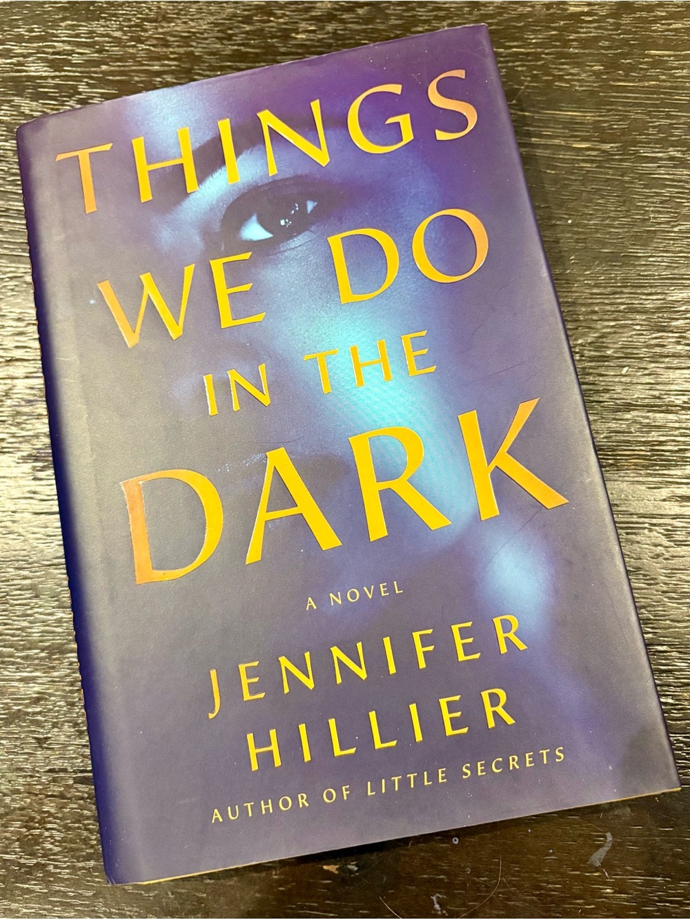 Things We Do in the Dark— Purple Hardcover Novel